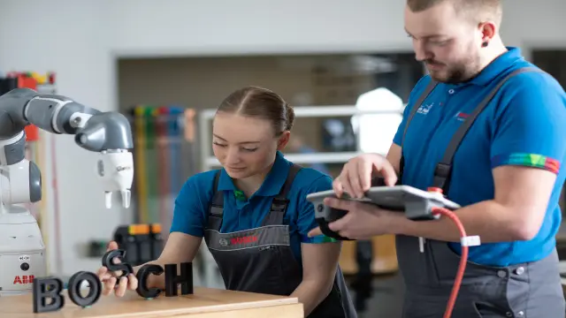 Bosch Osterreich Karriere